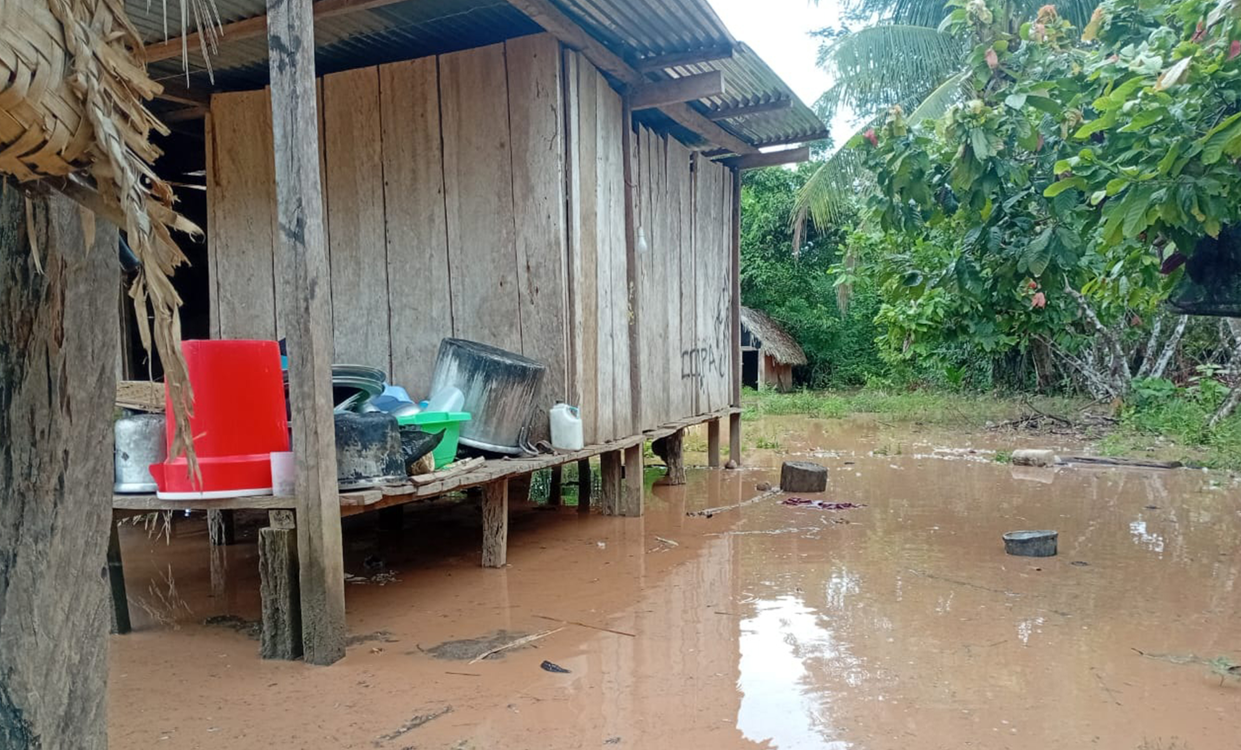 Comunidades Asháninkas enfrentan emergencia por inundaciones en Satipo