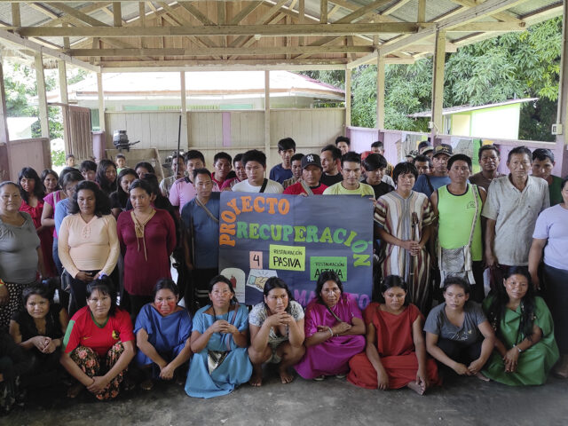 Iniciamos la recuperación y conectividad de bosques en comunidades Asháninkas del río Ene
