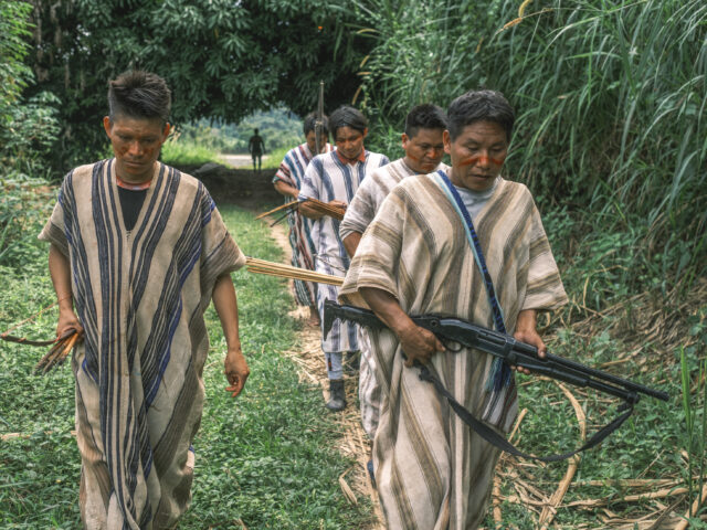 Vigilancia indígena y alerta temprana: cuando el conocimiento ancestral protege el territorio de la cuenca del Ene