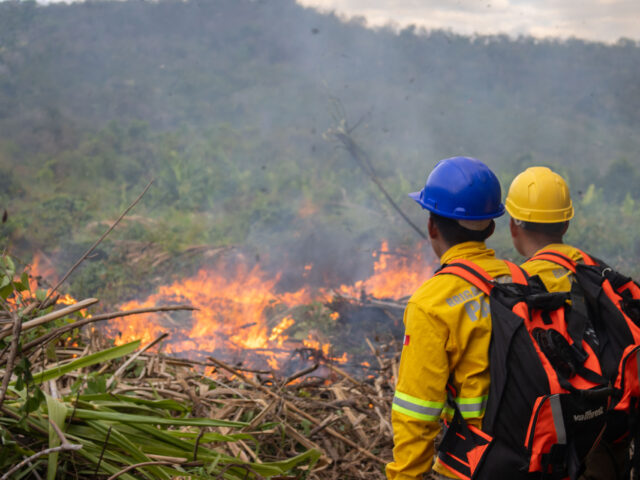 Solicitan una Fiscalía Ambiental en Satipo ante las amenazas a sus bosques