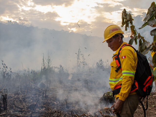 El Niño fuerte se acerca, los incendios avanzan y el Perú sigue sin una política de Manejo Integral del Fuego